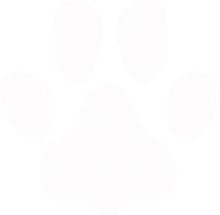 Tass-symbol